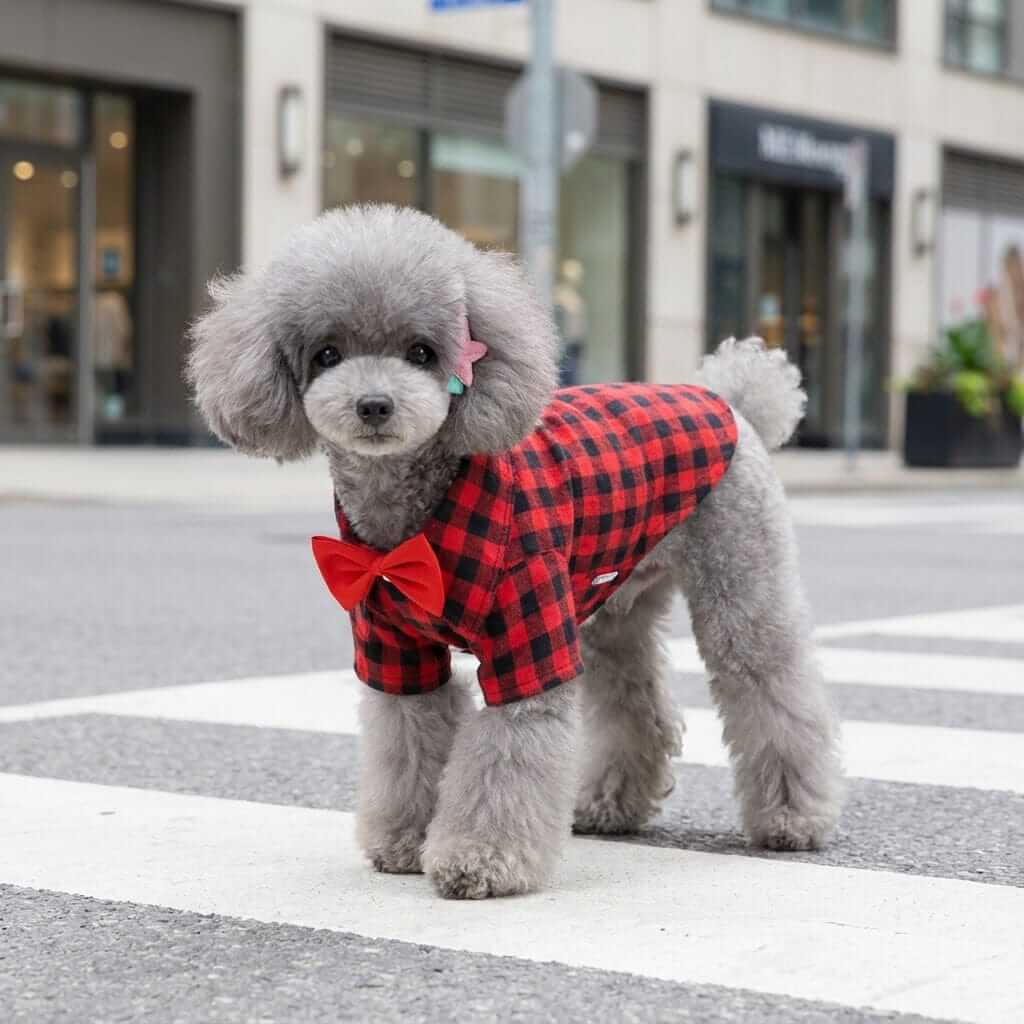 Bow Neckline Plaid Dog Shirt for Dogs & Cats, featuring plaid pattern, breathable fabric, and bow detail.