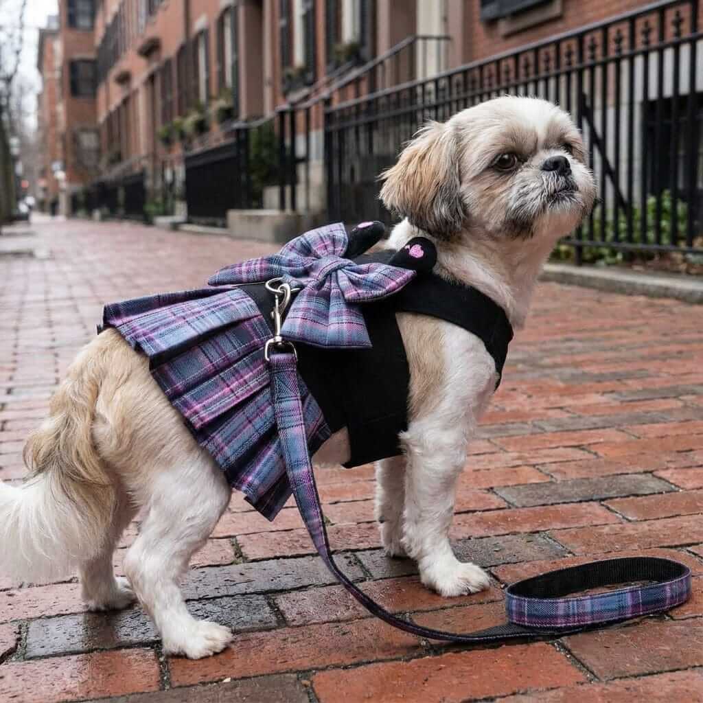 Bowknot Plaid Dog Harness Dress on a small dog, featuring stylish plaid design and matching leash.