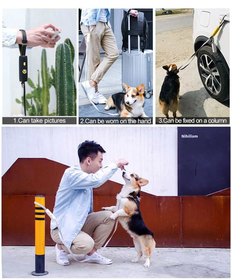 Bungee Comfort Leash for Small & Medium Dogs, elastic leash features, suitable for small dogs like corgis, by Dogs & Cats.