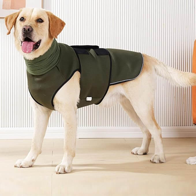 CalmEase Dog Anxiety Vest on a Labrador, featuring soothing hug-like pressure, soft breathable material for comfort.