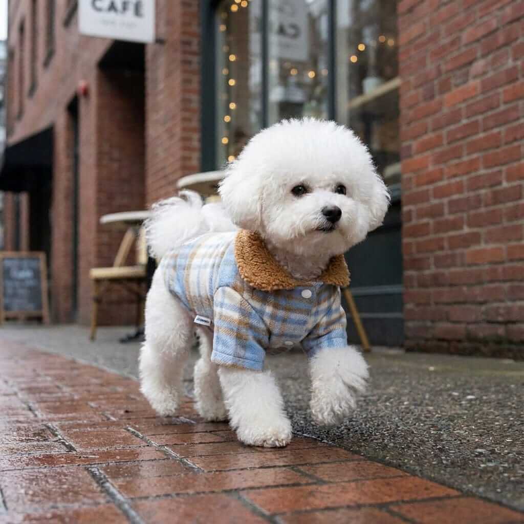 Check My Plaid Two-leg Cotton Dog Coat on a fluffy dog, featuring faux fur collar, ideal for winter walks.