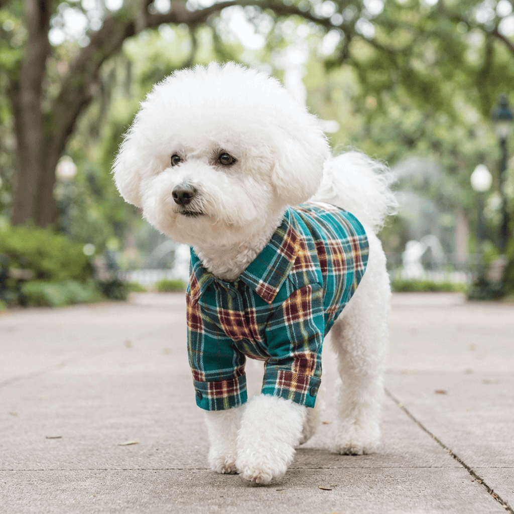 Checkered Dog Shirt for dogs and cats, lightweight, comfortable, easy to put on, stylish pet shirt in blue and plaid.