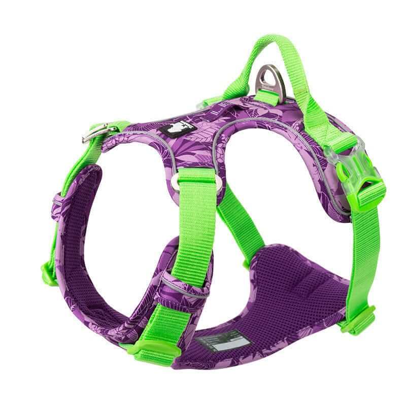 ComfortGuard No-Pull Dog Harness in purple and green, featuring soft nylon and reflective stitching for safety.
