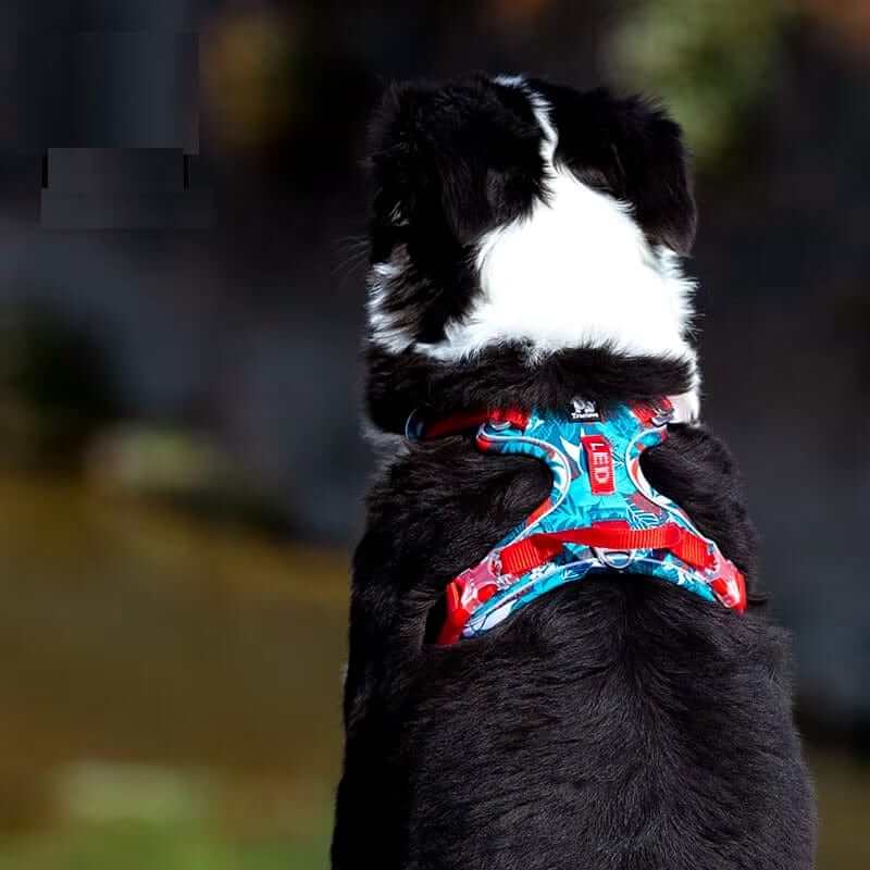 ComfortGuard No-Pull Dog Harness on a dog, featuring a no-pull design, reflective stitching, and comfort for dogs.