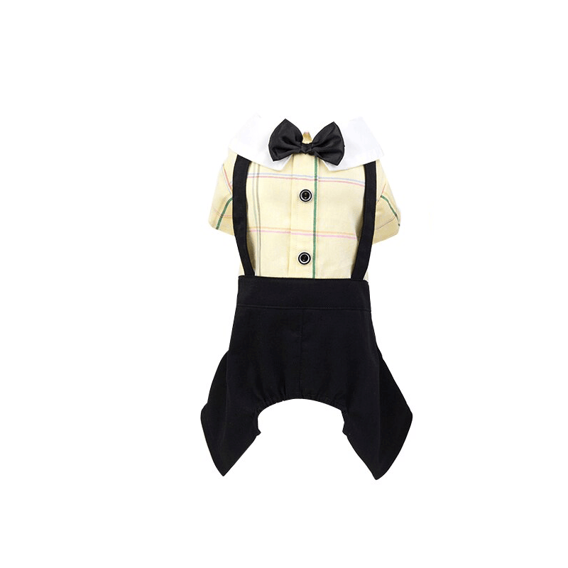 Couple Wear Student Suit for Dogs & Cats, featuring a bowtie, comfortable fit and lightweight cotton material.