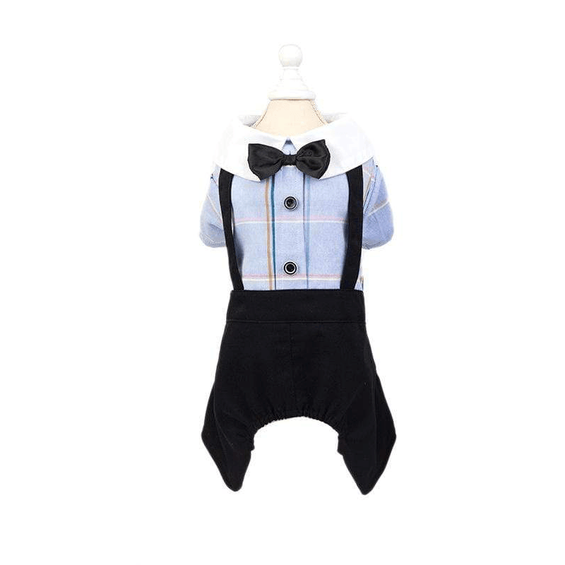 Couple Wear Student Suit for Dogs & Cats, lightweight cotton, bowtie included, perfect for any fancy occasion.