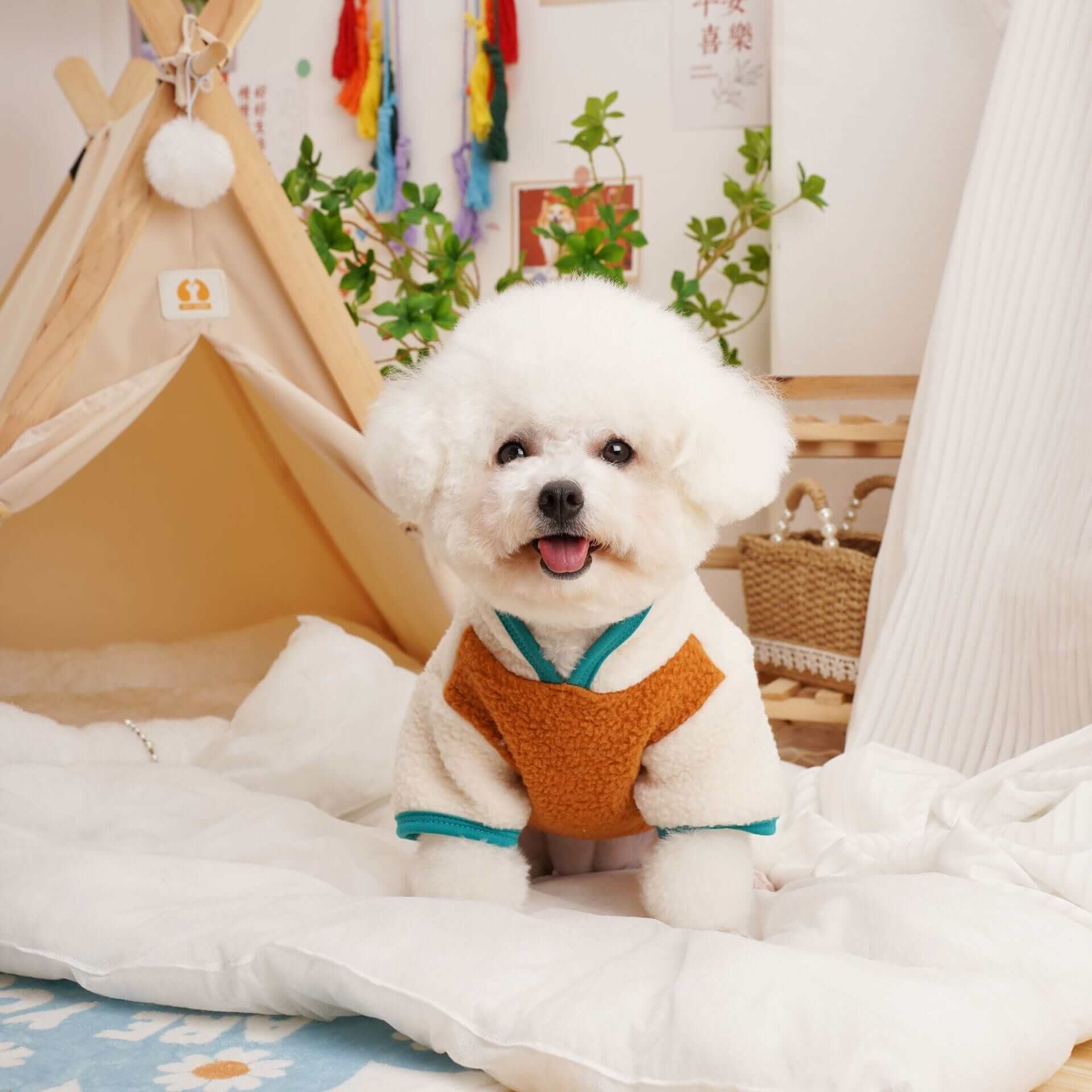 Cozy Spring & Fall Fleece Dog Jacket on a small fluffy dog, featuring lightweight comfort for dogs and cats by Dogs & Cats.