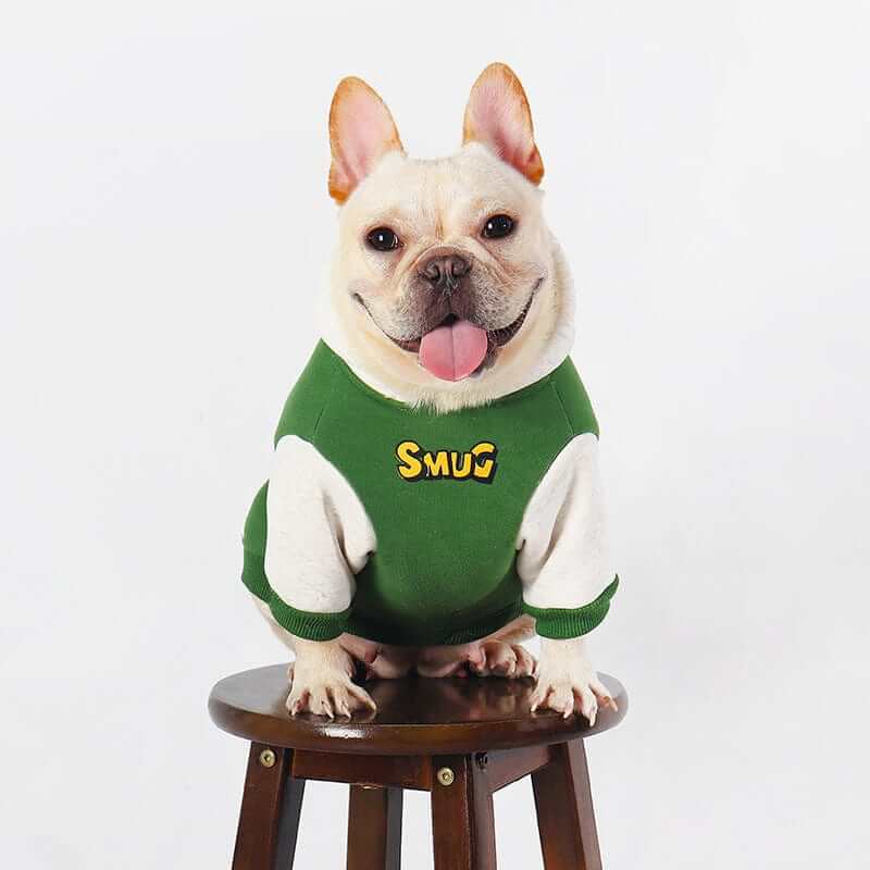 CozyPet Dog Hoodie on a French Bulldog, soft cotton for warmth and style, perfect for fall and winter, Dogs & Cats brand.