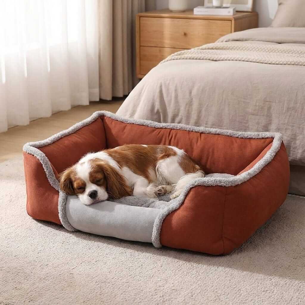 Creative Square Warm Winter Dog Bed for Dogs & Cats with ultra-soft material, cozy design, and anxiety-reducing walls.