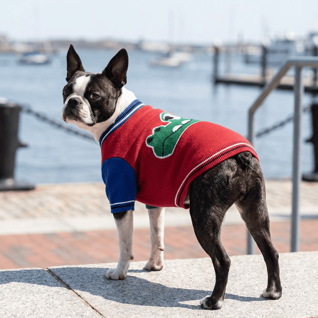 Crocodile Warm Dog Sweater on a stylish Boston Terrier by the waterfront, featuring breathable wool material by Dogs & Cats.