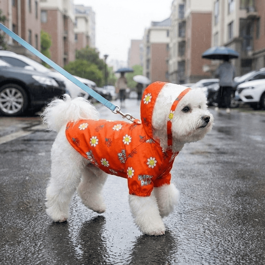 Crystal Clear Hooded Dog Raincoat for dogs featuring a transparent hood and flower design, perfect for rainy day adventures.