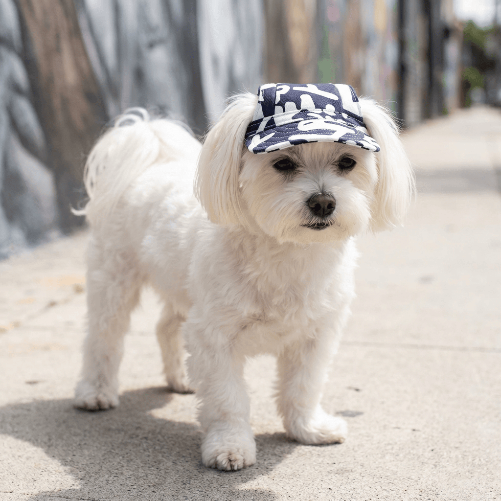 Cut Out Dog Baseball Cap on a white dog, features adjustable strap and ultra-soft lining for style and warmth.