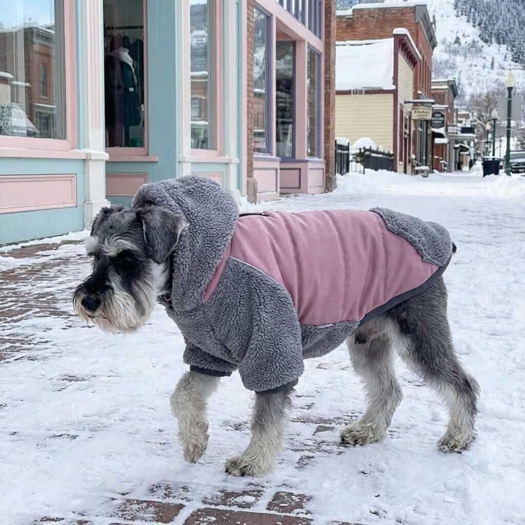 Detachable Double-sided Dog Winter Coat on a dog in snow, showcasing its comfortable and warm features, ideal for Dogs & Cats.