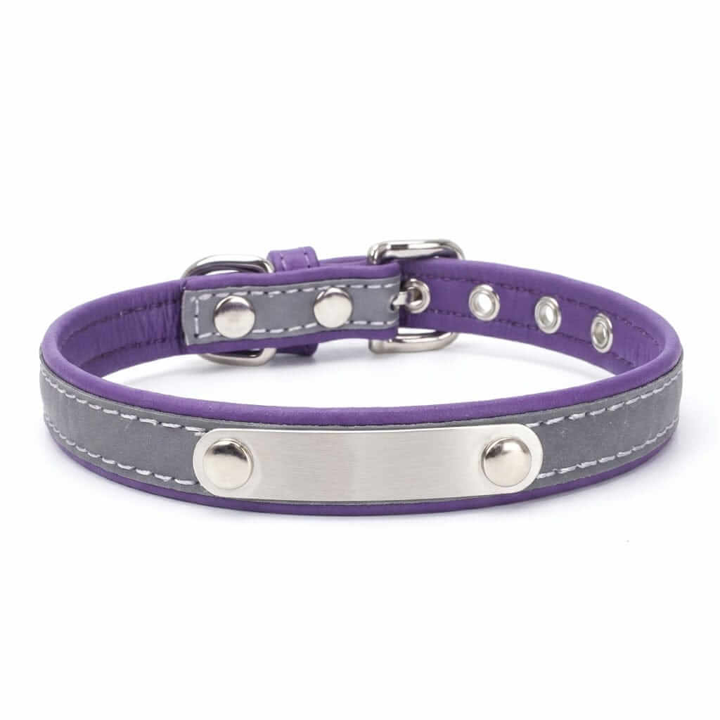 Dog Collar with Stainless Steel Nameplate, ergonomic design, reflective stitching, comfortable for dogs & cats.