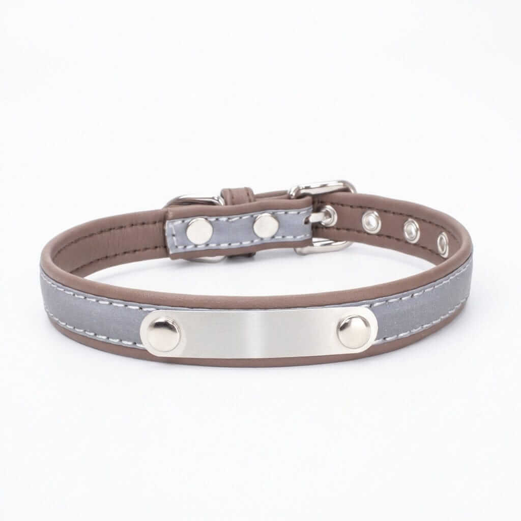 Dog Collar with Stainless Steel Nameplate featuring soft inner padding and reflective stitching for comfort and visibility.