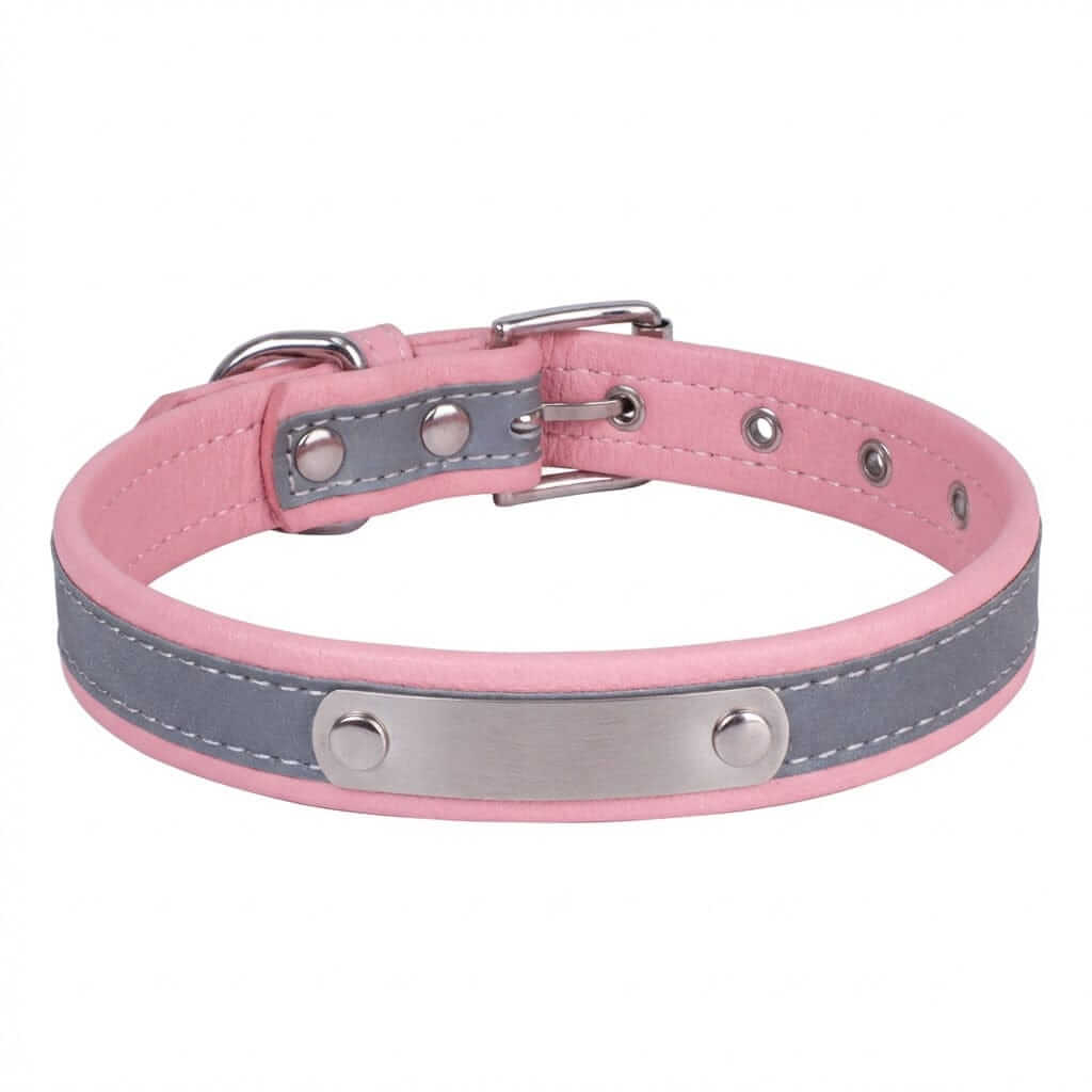 Dog Collar with Stainless Steel Nameplate featuring ergonomic design and reflective stitching for safety.