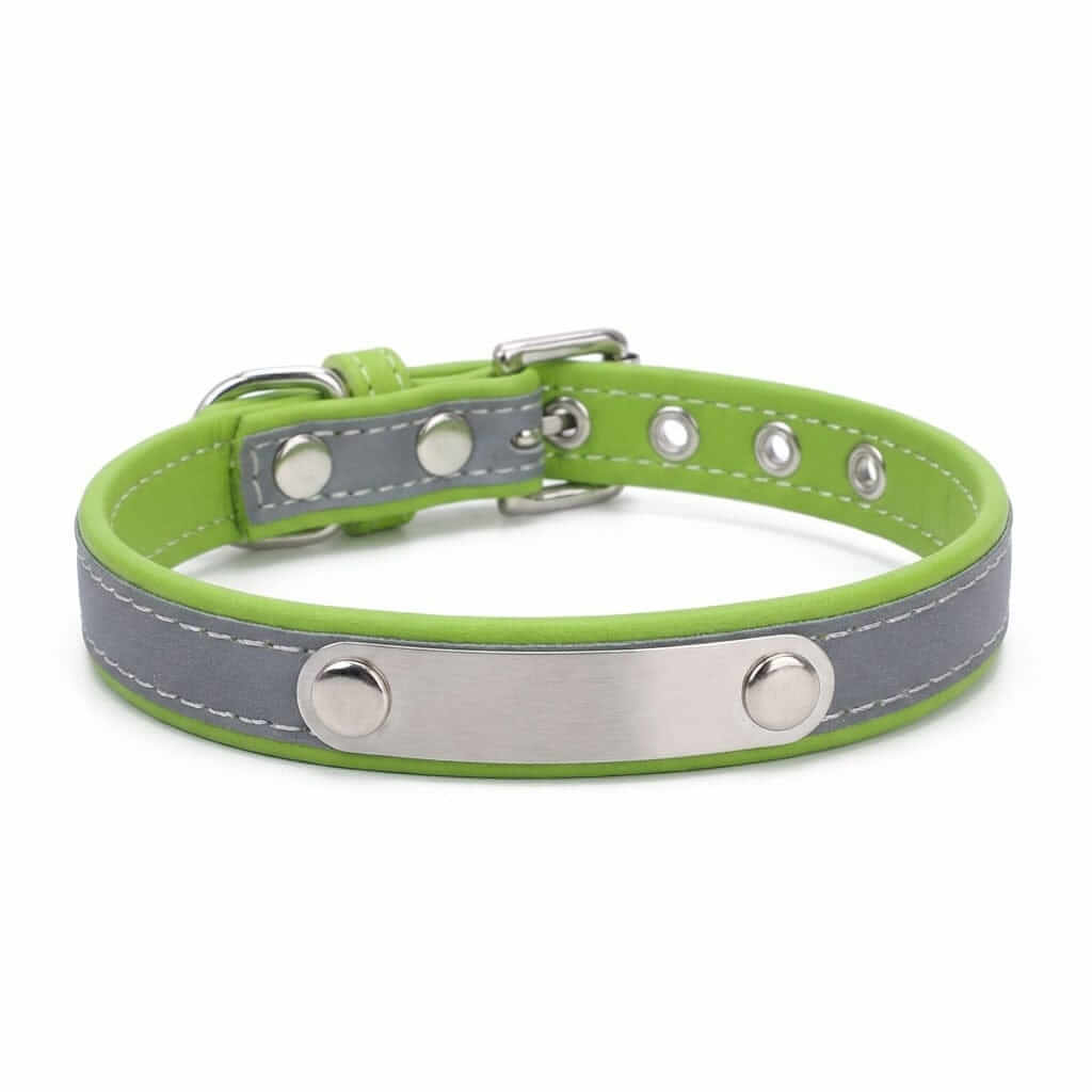 Dog Collar with Stainless Steel Nameplate featuring ergonomic design, soft padding, and reflective stitching for visibility.