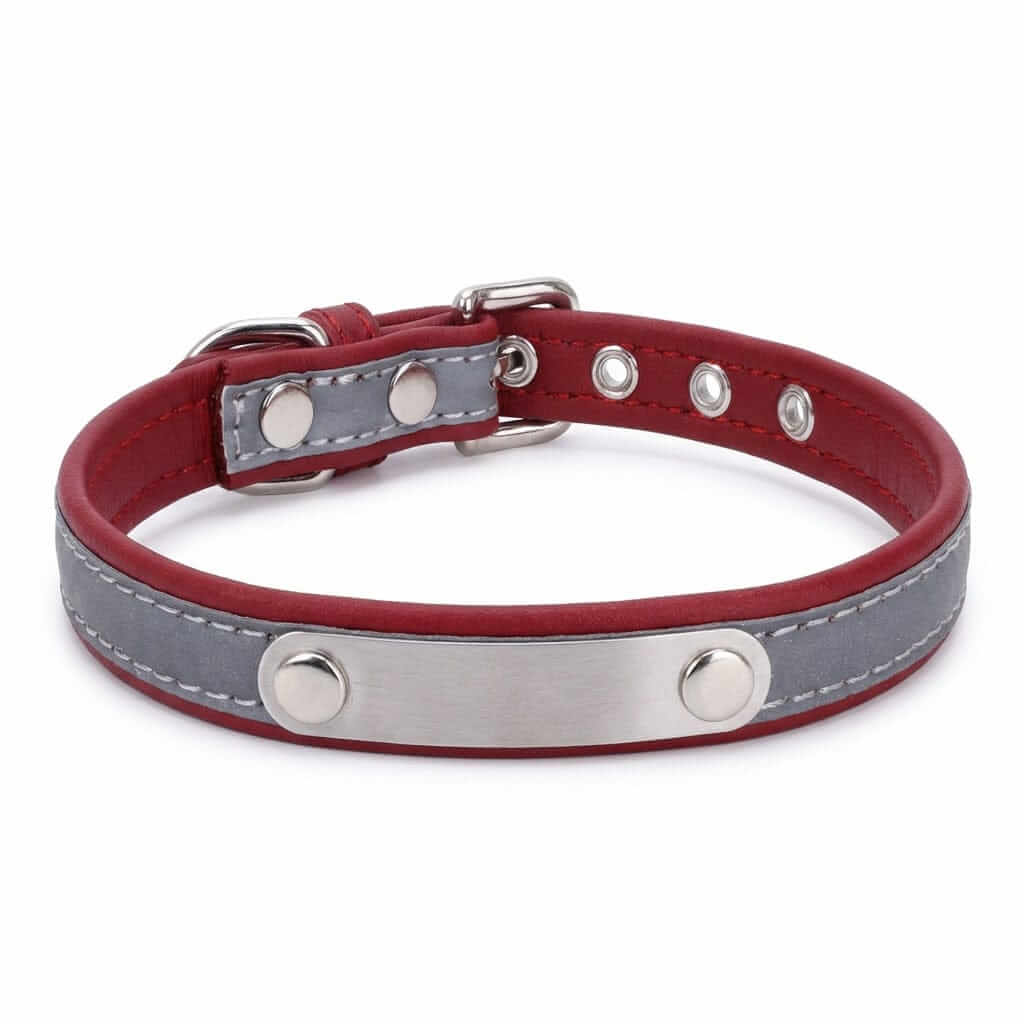Dog Collar with Stainless Steel Nameplate, ergonomic design, soft padded inner, reflective stitching, Dogs & Cats brand