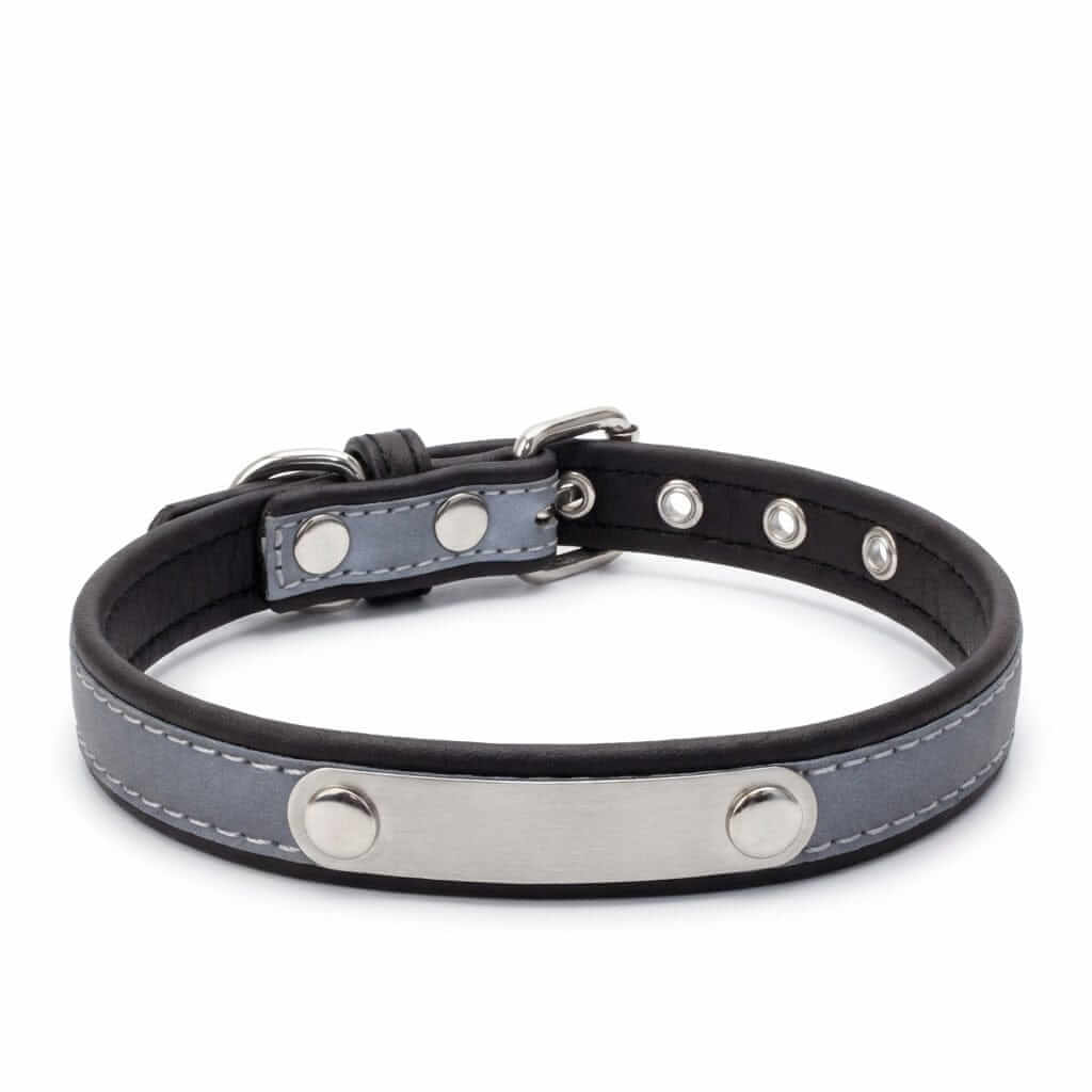 Dog Collar with Stainless Steel Nameplate featuring soft padding, ergonomic design, and reflective stitching for visibility.