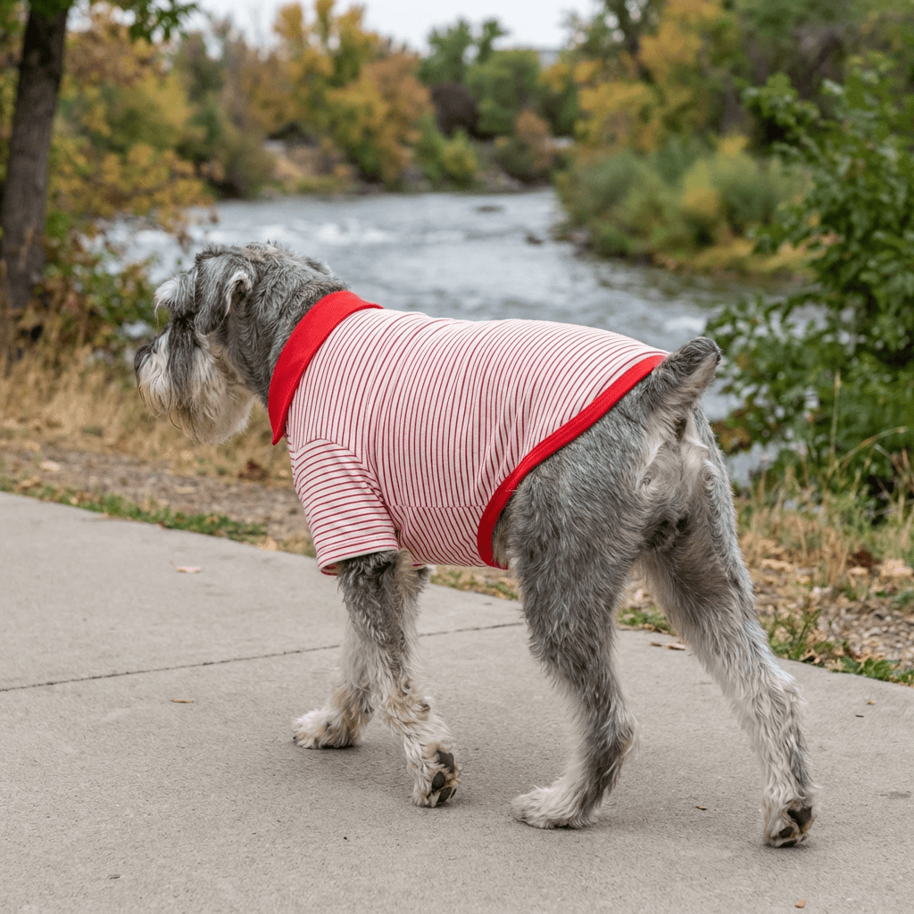 Dog Striped T-shirt on a dog by Dogs & Cats brand, featuring a striped design and turn-down collar for stylish warmth.