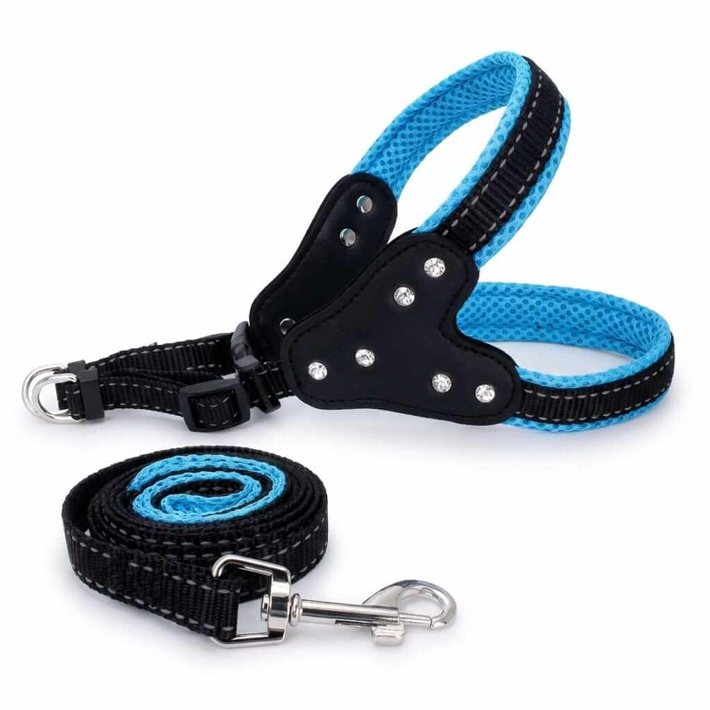 Dog Triangle Chest Strap with blue mesh and padded panels, perfect for comfort and style for dogs and cats.