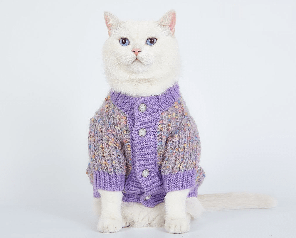Elegance Knit Dog Sweater on a stylish cat, showcasing premium knit fabric and comfort for dogs & cats.
