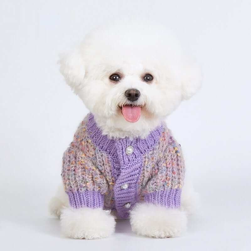 Elegance Knit Dog Sweater on a fluffy dog, featuring soft knit material, ideal for cold weather, Dogs & Cats brand.