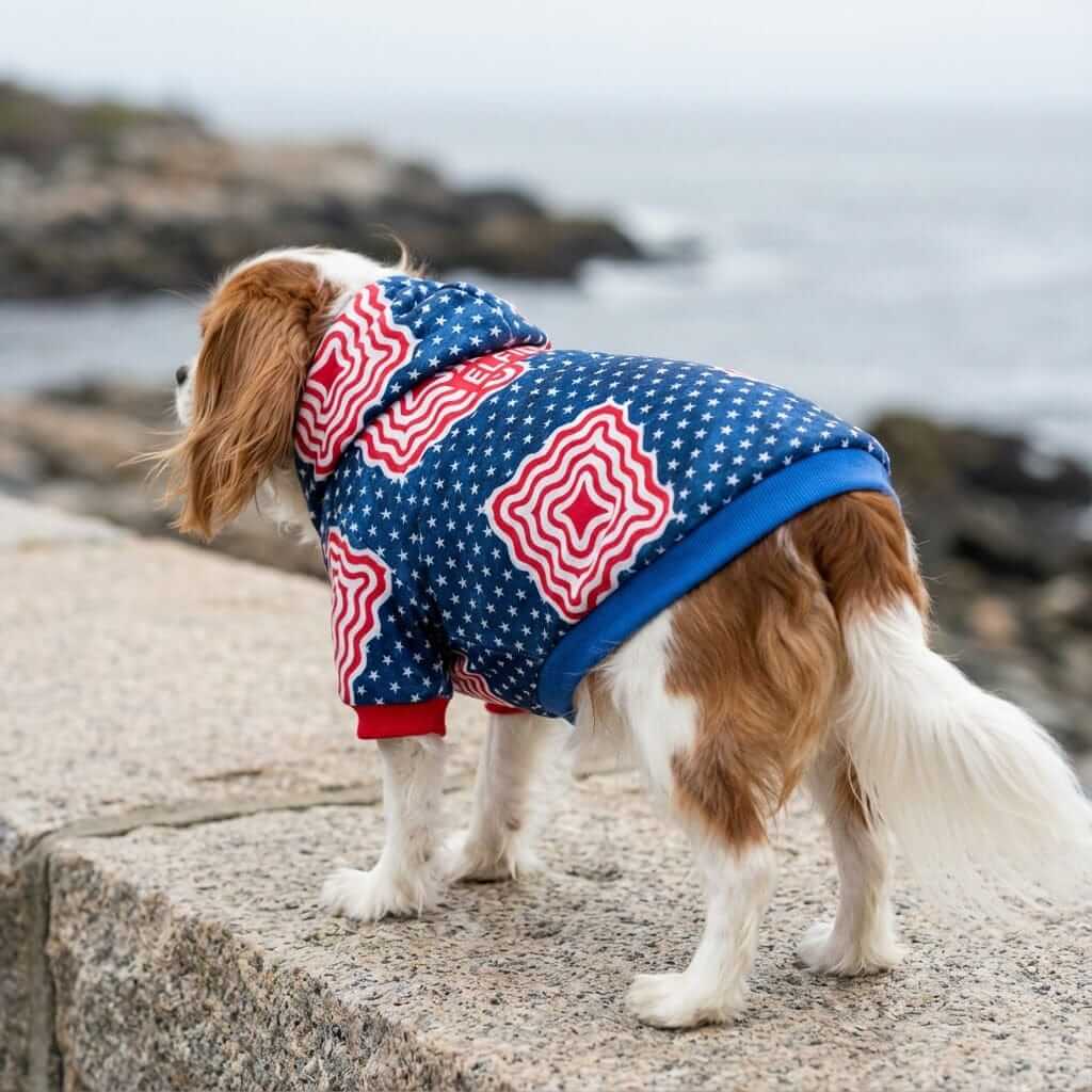 Falling Stars Warm Dog Hooded Coat on a dog by the sea, featuring fleece lining, breathable fabric, and cozy design for Dogs & Cats.