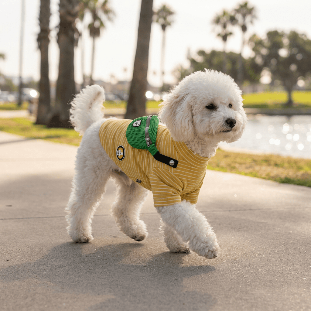 Fanny Pack Striped Dog T-Shirt on a cute dog walking outdoors, featuring comfortable hook and loop fasteners for perfect fit.