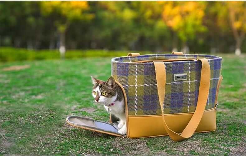 Fashionable Wool Pet Travel Carrier Bag with a cat, cozy and stylish, perfect for travel with dogs and cats.