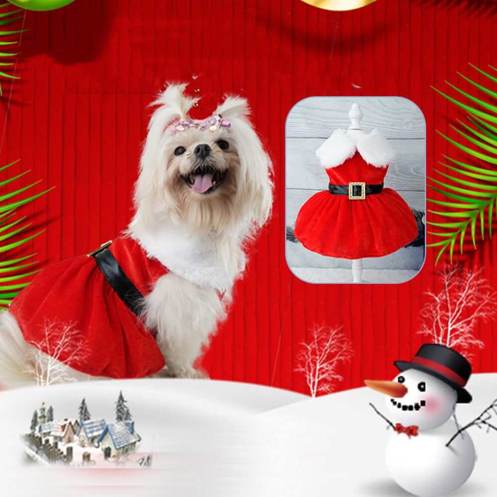 Festive Christmas Princess Dog Dress for small dogs, featuring a cute red design, perfect for holiday celebrations by Dogs & Cats.
