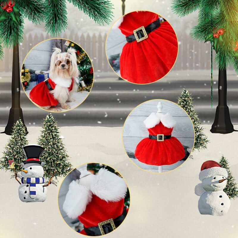 Festive Christmas Princess Dog Dress, small dog dress, red velvet, holiday outfit by Dogs & Cats brand.