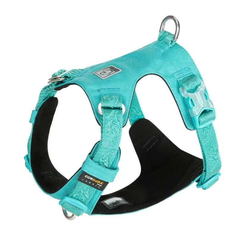 FlexiFit Nylon Dog Harness - Comfortable and adjustable harness for active dogs in vibrant teal.