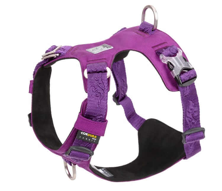 FlexiFit Nylon Dog Harness, adjustable fit, waterproof, stylish for active dogs - Dogs & Cats brand.