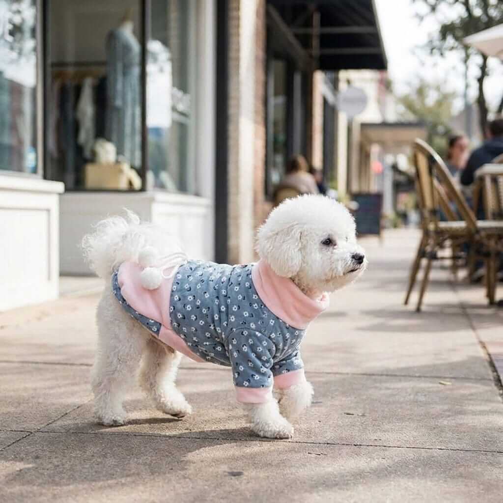 Floral High Neck Dog Coat on a fluffy dog outside; features breathable and lightweight design for pets by Dogs & Cats.