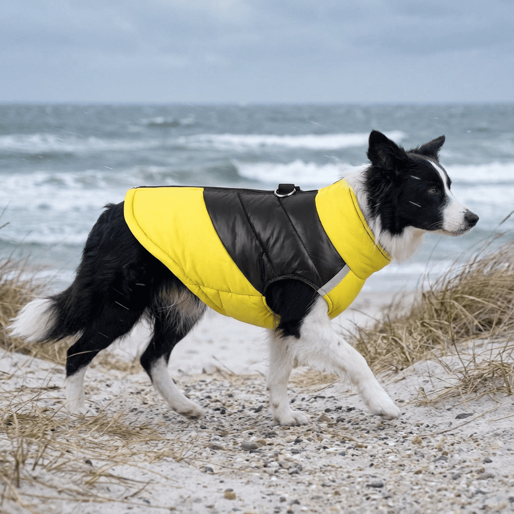 FrostGuard Pet Winter Vest, waterproof, cozy, stylish winter jacket for dogs and cats, perfect for outdoor adventures.