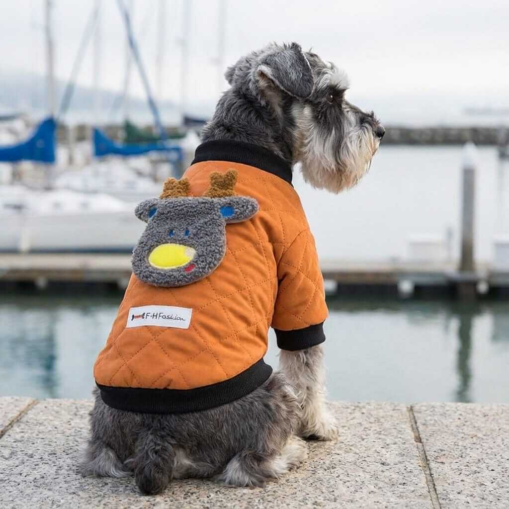 Furry Dog Winter Padded Jacket on a dog by the water, featuring breathable cotton, lightweight feel, and a cute reindeer design.