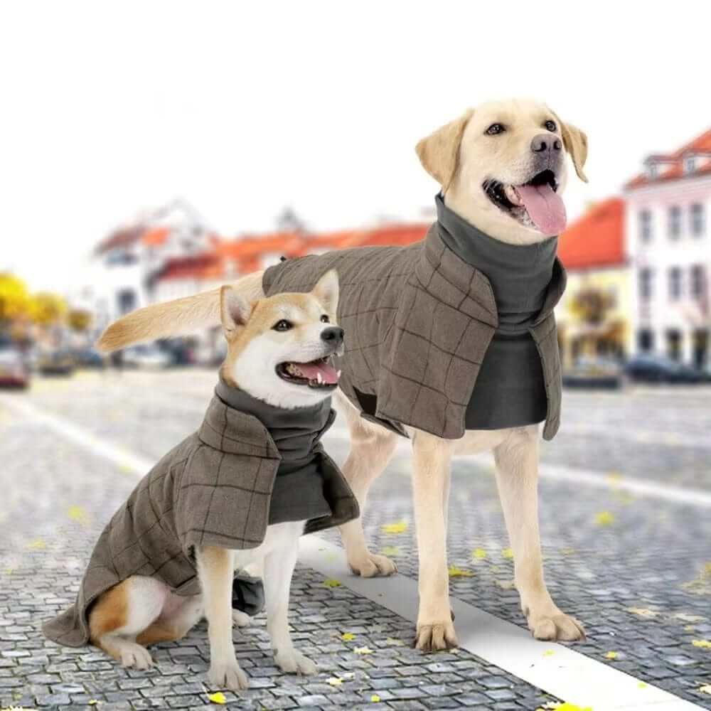 Gentleman Dog Coat worn by two dogs in winter, elegant fleece design for warmth and style, Dogs & Cats brand.