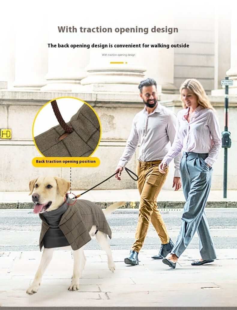 Gentleman Dog Coat for medium-sized male dogs, featuring a back traction opening design for convenience while walking.