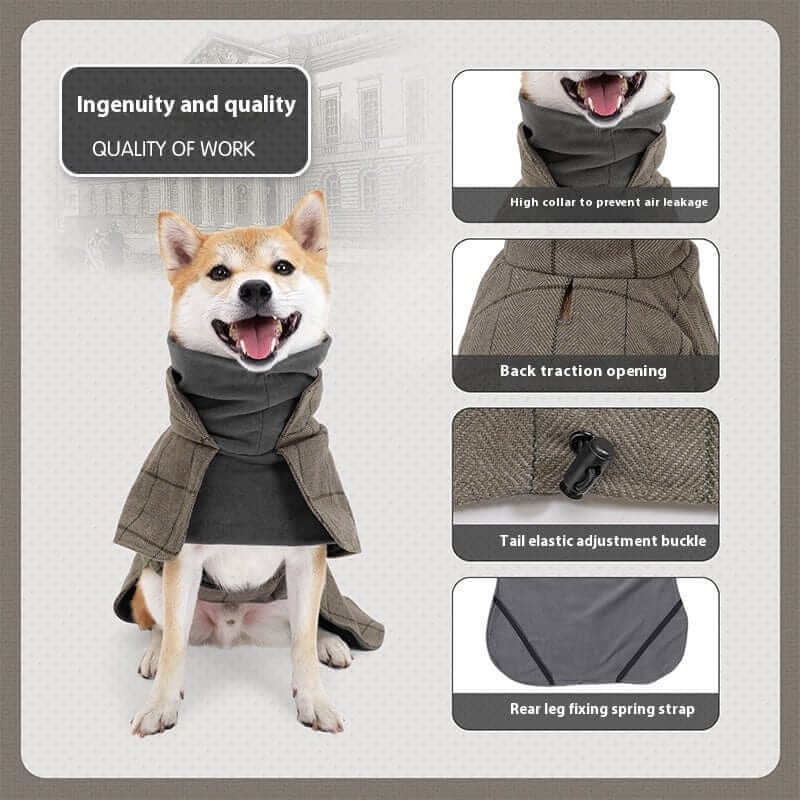 Gentleman Dog Coat for medium-sized dogs, featuring high collar, back traction opening, tail buckle, and rear strap.