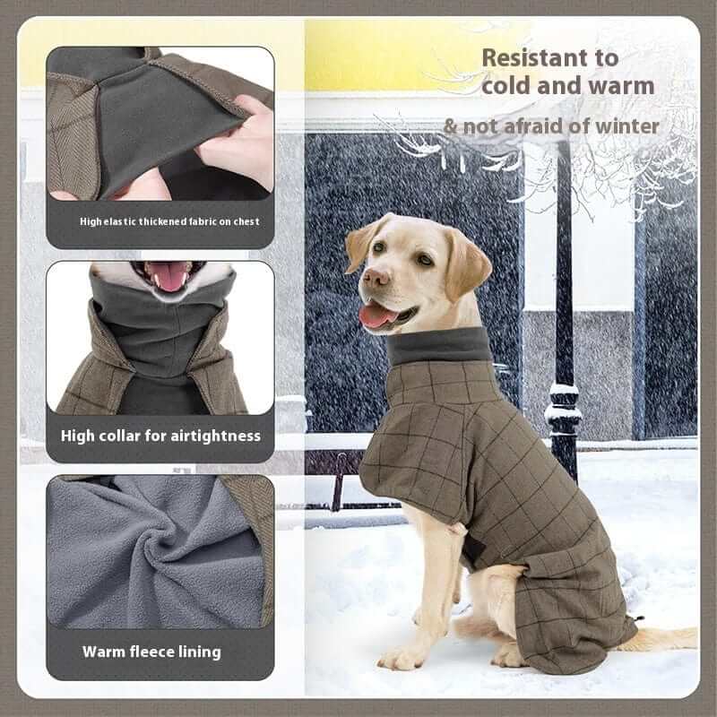 Gentleman Dog Coat for medium male dogs with warm fleece lining, high collar, and resistant to winter chill by Dogs & Cats.