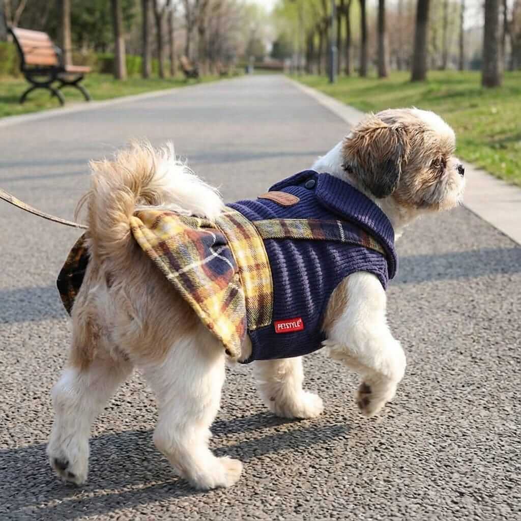 Going To College Plaid Dog Sweater Skirt on a dog, featuring a plaid pattern, knitted collar, and a lightweight feel.