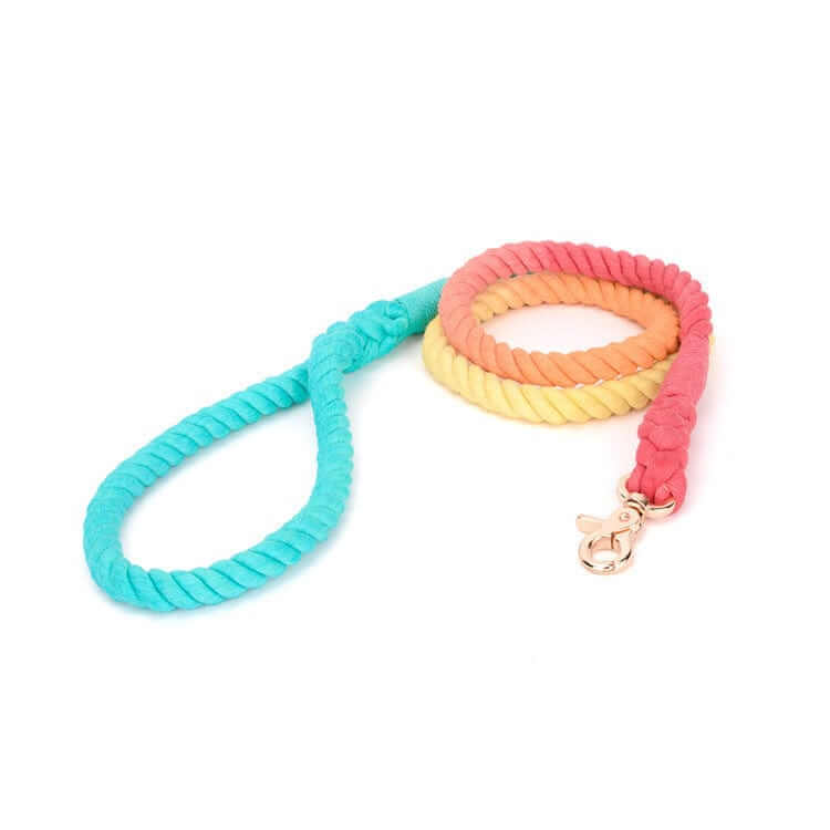 Gradient Hand-Dyed Cotton Dog Leash featuring a vibrant gradient design for stylish dog walking.