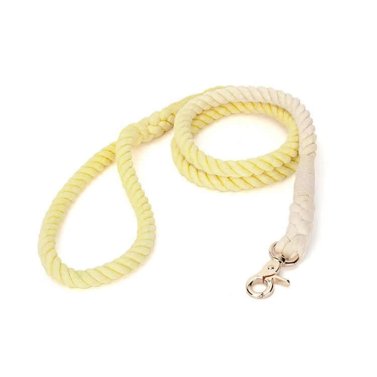 Gradient Hand-Dyed Cotton Dog Leash, vibrant hand-dyed design, premium cotton, perfect for dogs & cats by Dogs & Cats.