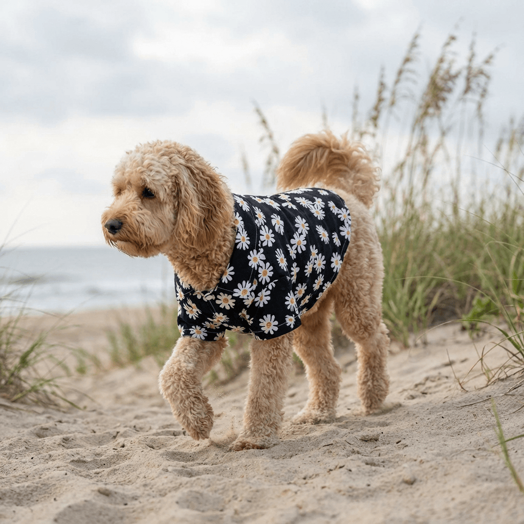 Hawaiian Print Beach Dog Shirt on a fluffy dog walking on the beach, perfect for summer fun, by Dogs & Cats.