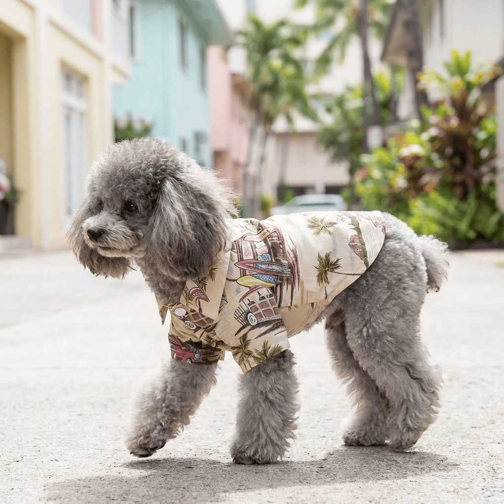 Hawaiian Print Beach Dog Shirt on a fluffy gray dog walking outdoors in a vibrant setting, featuring lightweight breathable cotton.