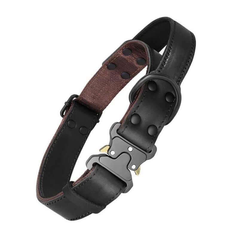 Heritage Leather Dog Collar, premium leather, secure buckle, comfortable fit, ideal for medium to large dogs by Dogs & Cats.