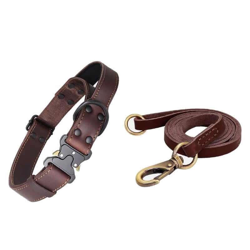 Heritage Leather Dog Collar with sleek buckle and matching leash, designed for medium to large dogs by Dogs & Cats.
