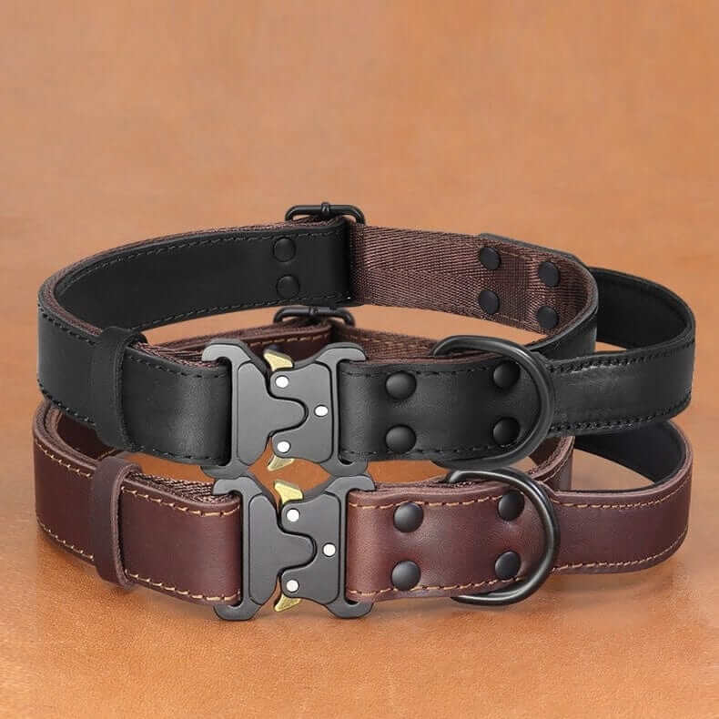 Heritage Leather Dog Collar, classic style, secure buckle, Dogs & Cats brand, premium genuine leather