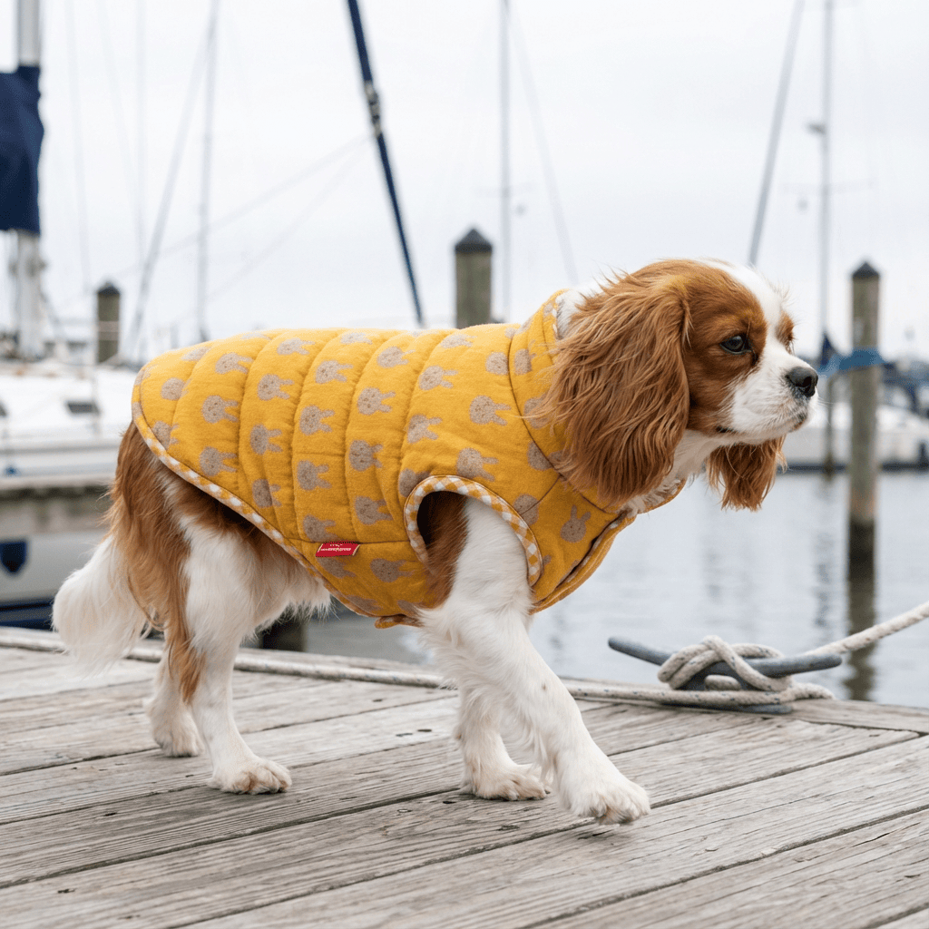 High Neckline Dog Winter Padded Coat on a dog by Dogs & Cats, featuring a soft padded design and cozy high neckline.